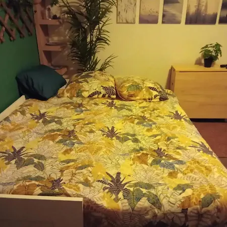 Appartement Bel Plein Centre-ville Clermont-Ferrand