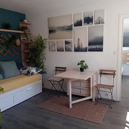 Bel Plein Centre-ville Appartement