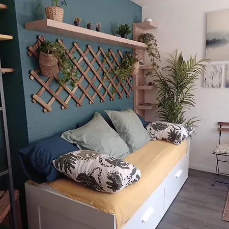 Bel Plein Centre-ville Appartement